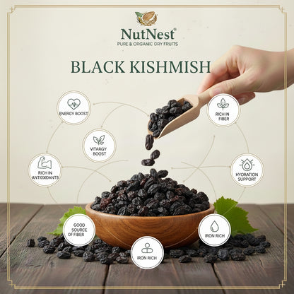 Black Kismish – Turkish (اعلیٰ معیار سیاہ کشمش)